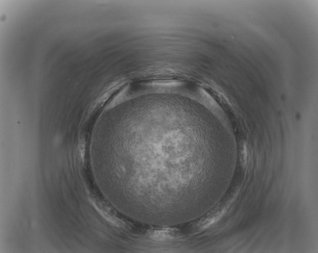 X0000083650072200702201445
