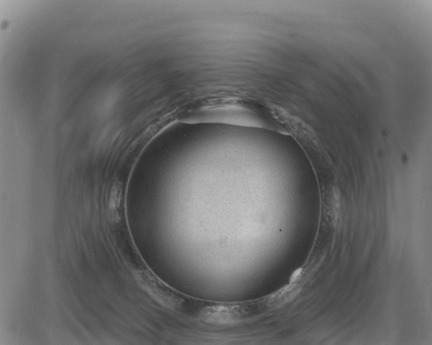X0000083650082200702201445