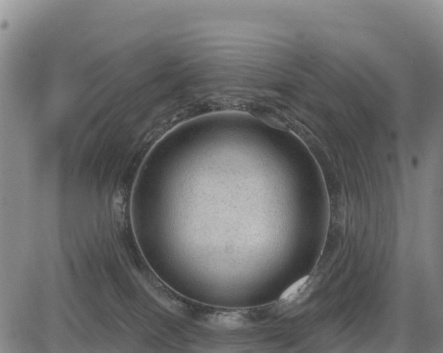 X0000083650086200702201445