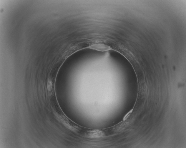 X0000083650087200702201445