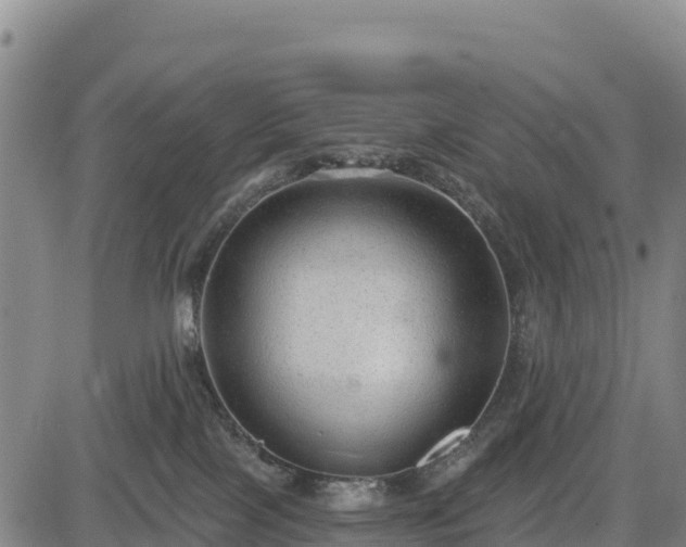 X0000083650089200702201445