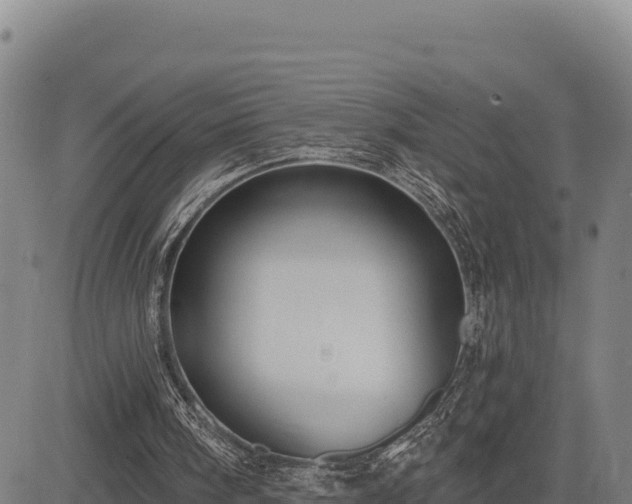 X0000083650098200702201444