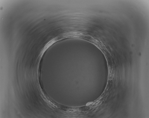 X0000083650099200702201444