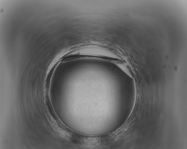 X0000083650102200702201444