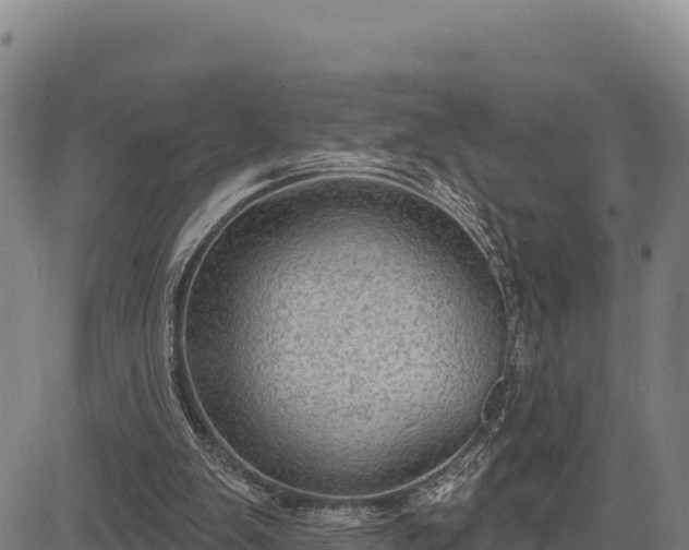 X0000083650103200702201444