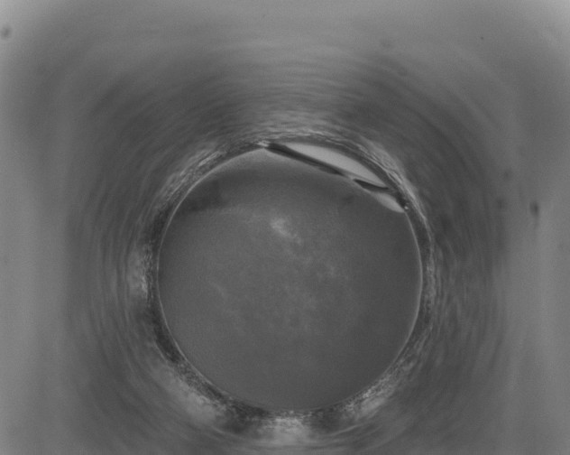 X0000083650114200702201444