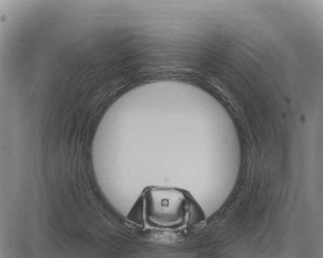 X0000083650125200702201444