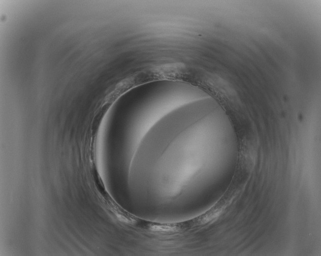 X0000083650139200702201444