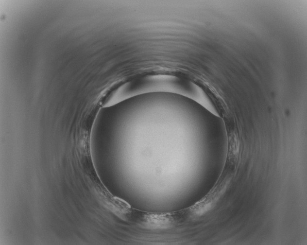 X0000083650141200702201444