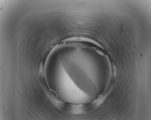 X0000083650143200702201444