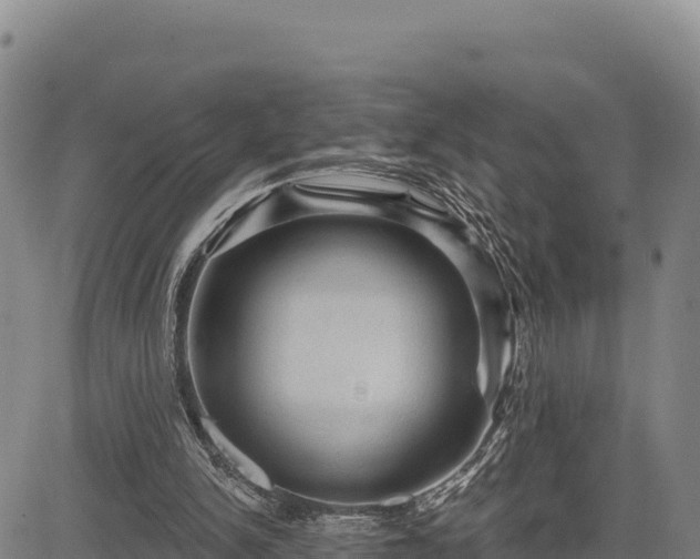 X0000083650150200702201443