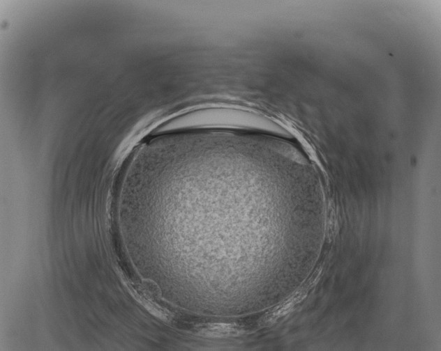 X0000083650151200702201443