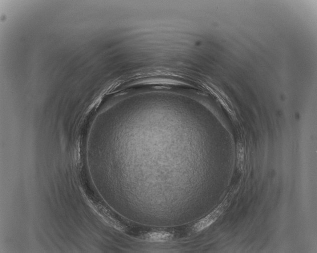 X0000083650158200702201443