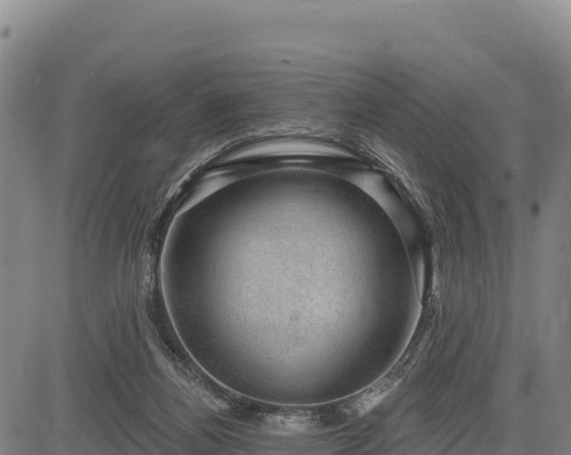 X0000083650164200702201443