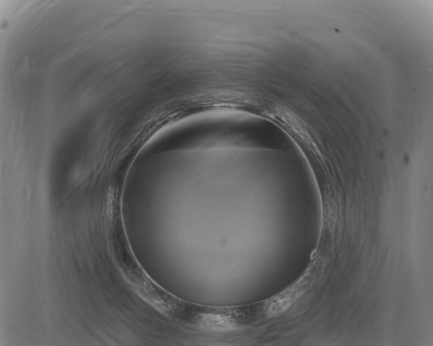 X0000083650167200702201443
