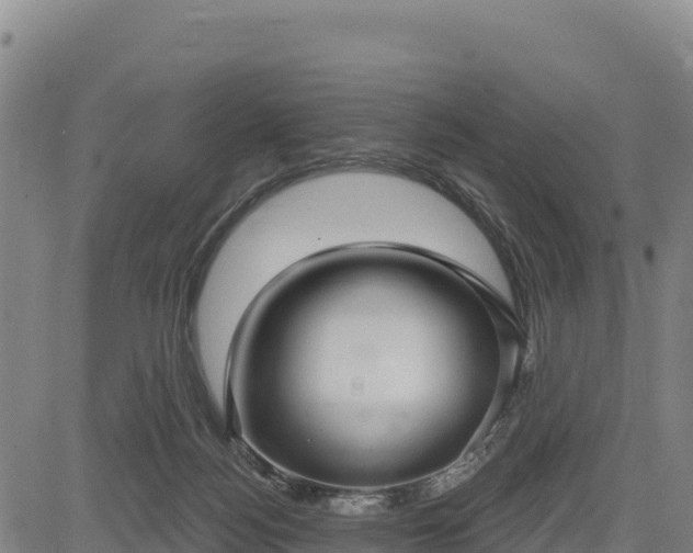 X0000083650172200702201443