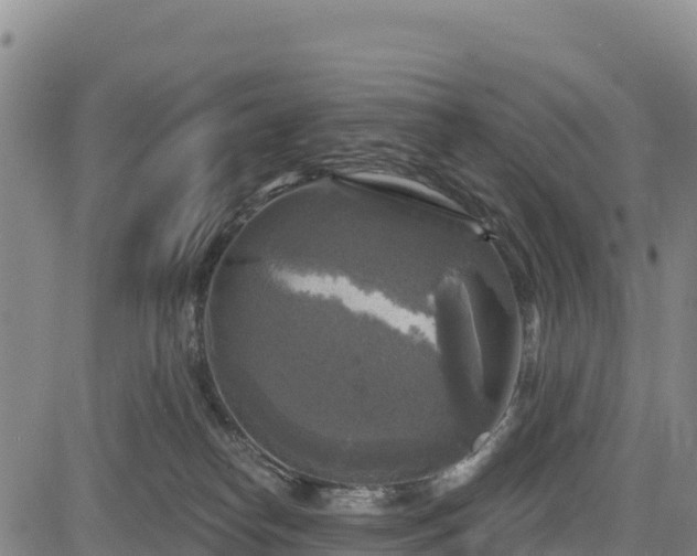 X0000083650182200702201443