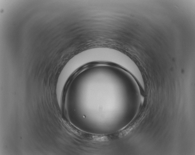 X0000083650185200702201443