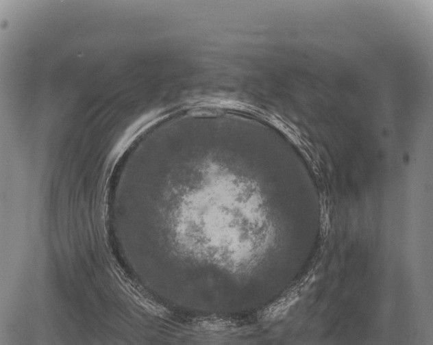 X0000083650199200702201443