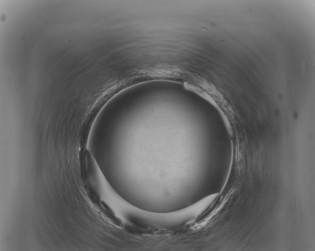 X0000083650201200702201443