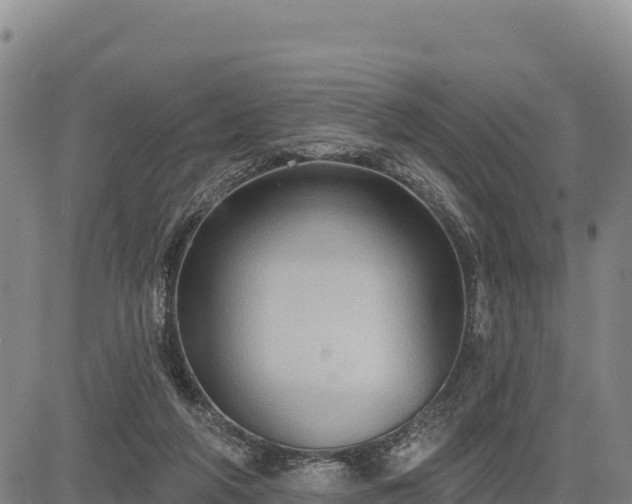 X0000083650210200702201442