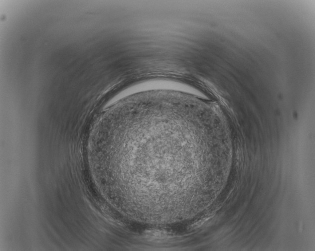 X0000083650211200702201442