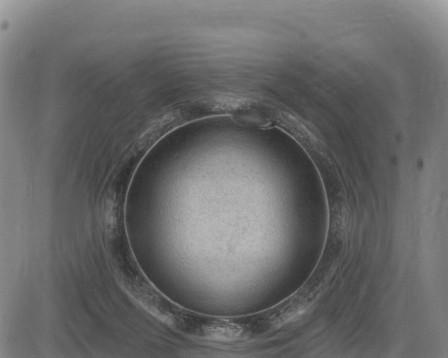 X0000083650215200702201442