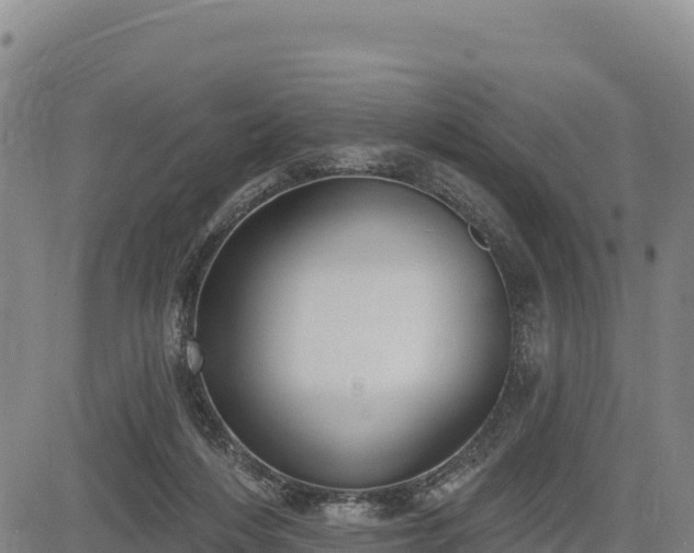 X0000083650216200702201442