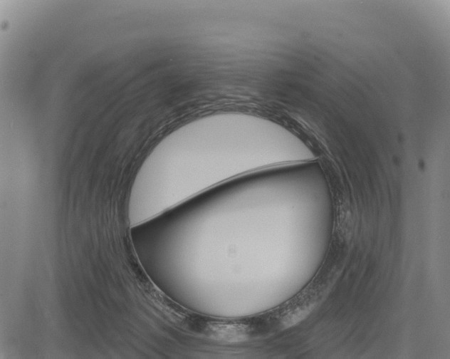 X0000083650221200702201442