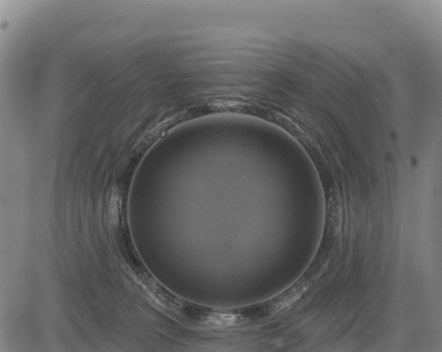 X0000083650227200702201442