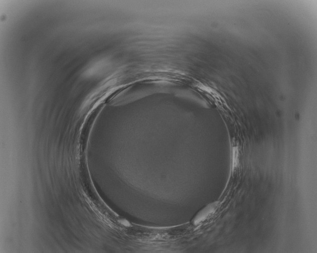 X0000083650243200702201441