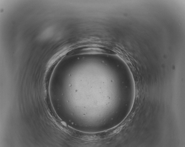 X0000083650245200702201441