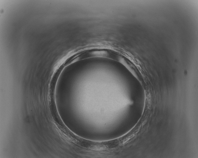 X0000083650248200702201441