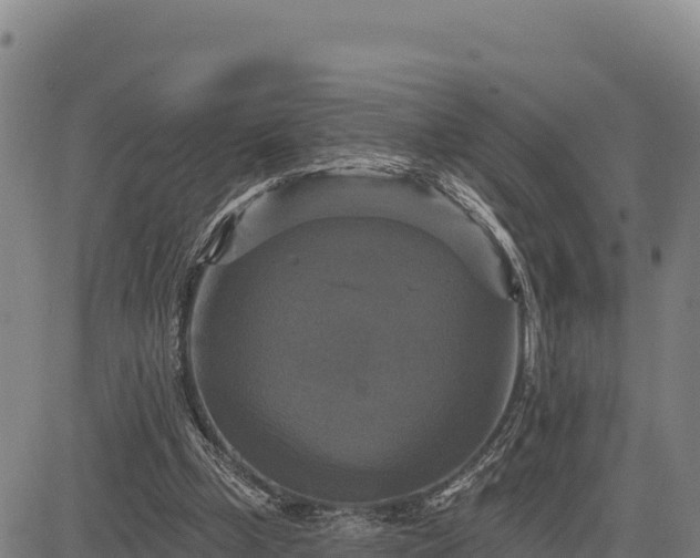 X0000083650249200702201441
