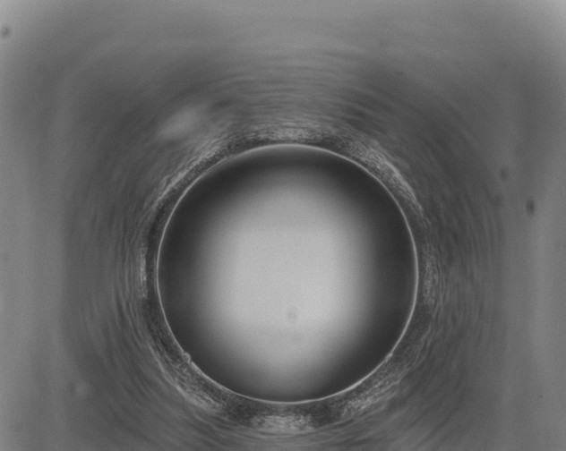 X0000083650251200702201441