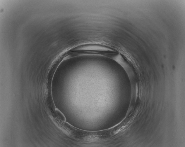 X0000083650252200702201441