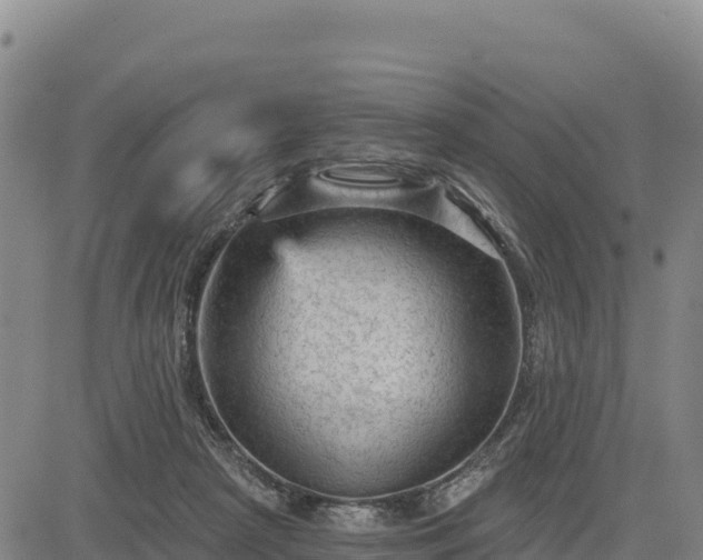 X0000083650265200702201442