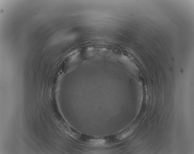 X0000083650266200702201442