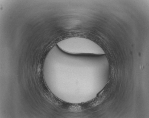 X0000083650271200702201442