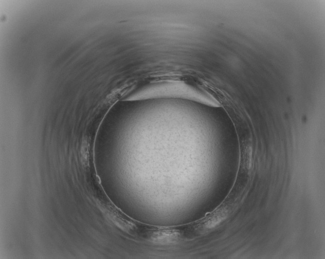X0000083650274200702201442