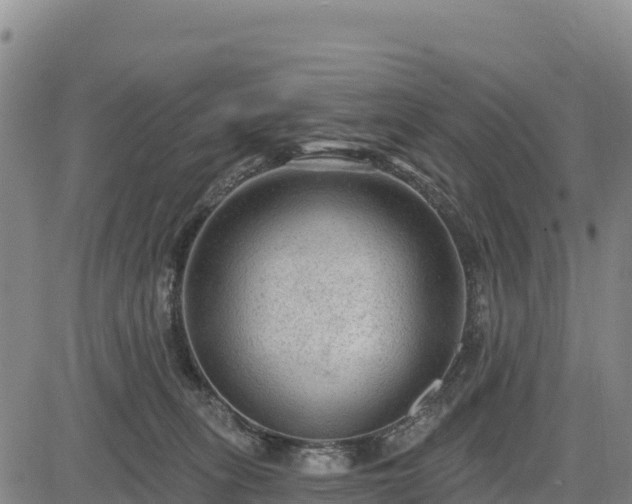 X0000083650275200702201442