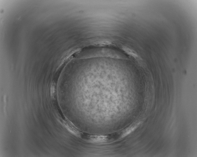 X0000083650288200702201442