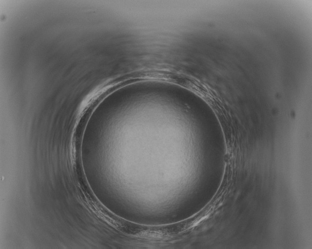 X0000083650294200702201441