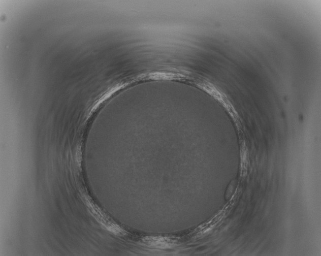 X0000083650297200702201441