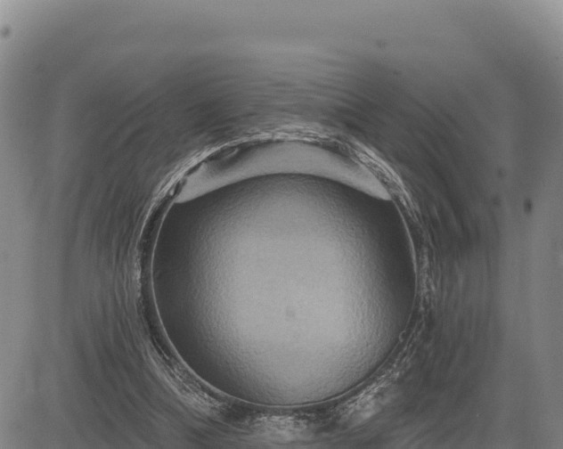 X0000083650298200702201441