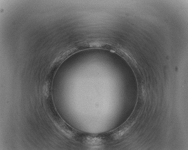 X0000083650311200702201441