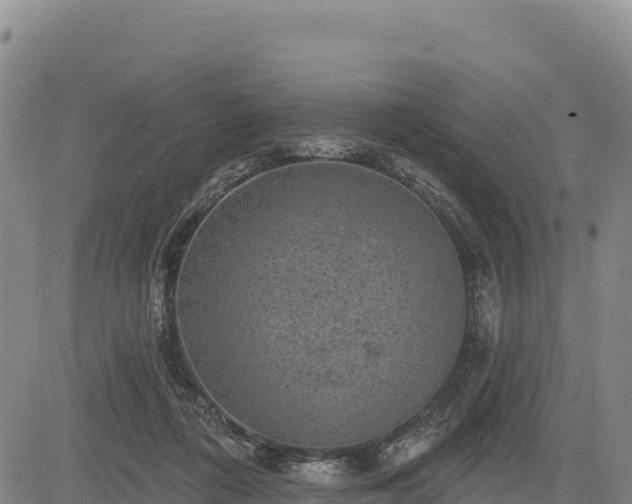 X0000083650312200702201441