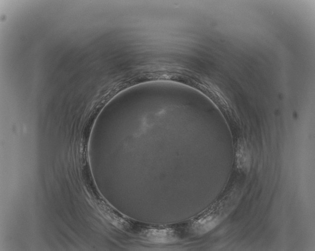 X0000083650314200702201441