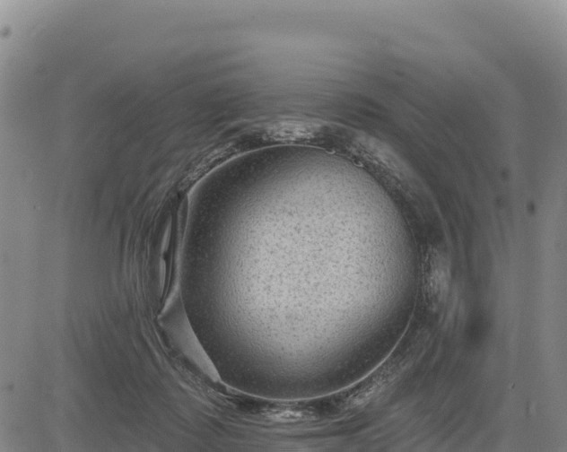 X0000083650315200702201441