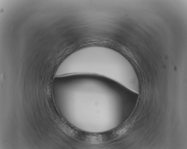 X0000083650317200702201441